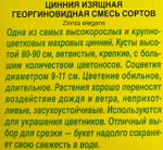 Цинния Георгиновидная, смесь 0,3 г СМЦ-322