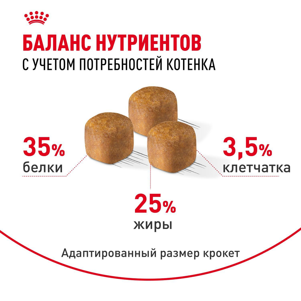 Royal Canin Sphynx Kitten Корм сухой сбалансированный для котят породы Сфинкс до 12 месяцев 2 кг