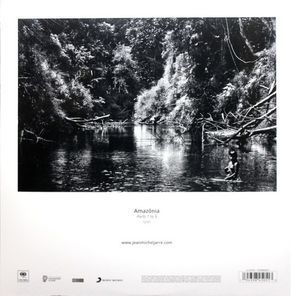 Soundtrack / Jean-Michel Jarre: Amazonia (2LP)