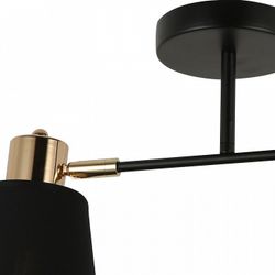 Светильник на штанге ILLUMICO Abelie IL6116-2COU-79 BK GD Abelie