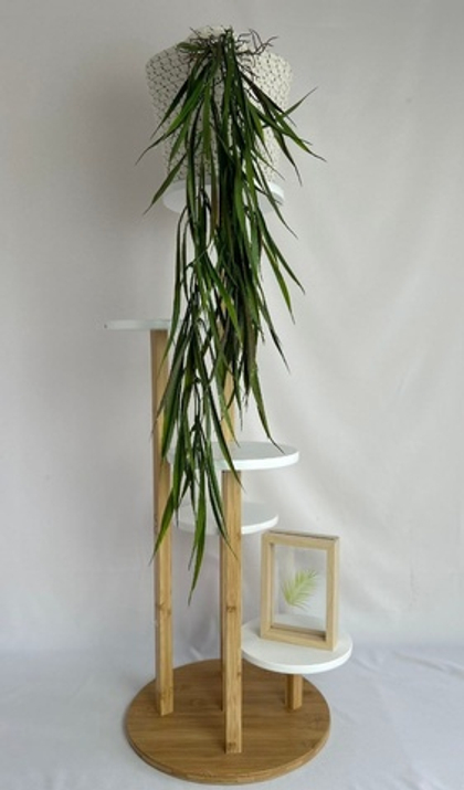 Осока ампельная с корешками / Арт 4131