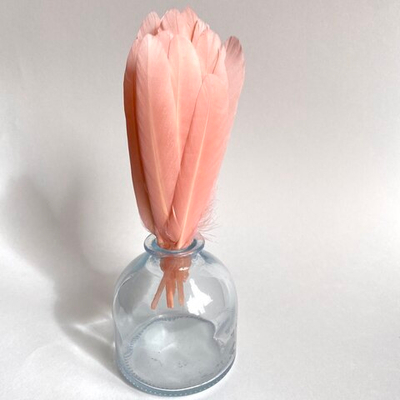 Перья утки спелый абрикос 15 шт.