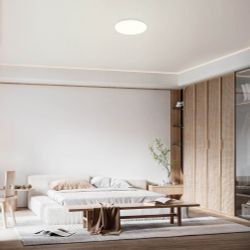 8692 Потолочный светильник SLIM CCT