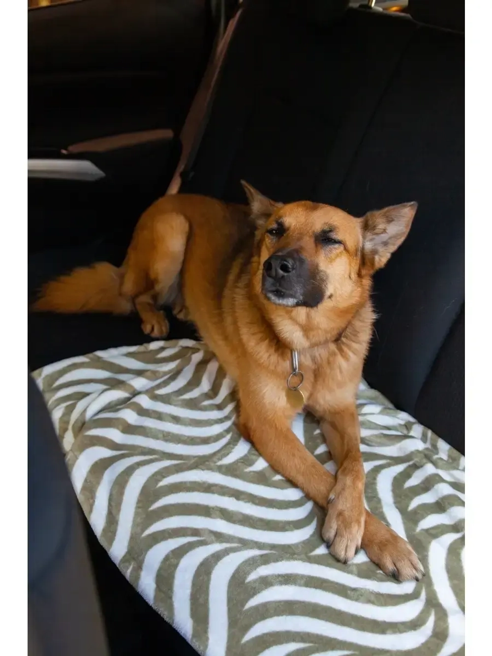 Плед для кошек собак крупных мелких средних пород