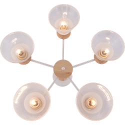 Люстра Rivoli Theothila 9177-305 5 х Е27 60 Вт модерн | Rivoli