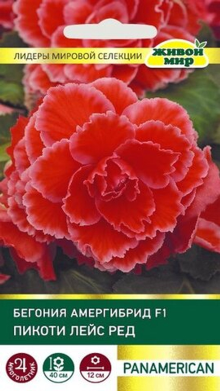 Бeгoния "ЖМ. Aмepгибpид Пикoти Лeйc F1 Рeд" 5шт, США.