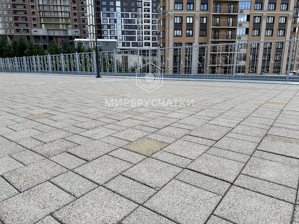 Сибревкомовский мост, г. Новосибирск