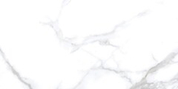 Neodom Classic Marble Statuario Chic Polished 60x120