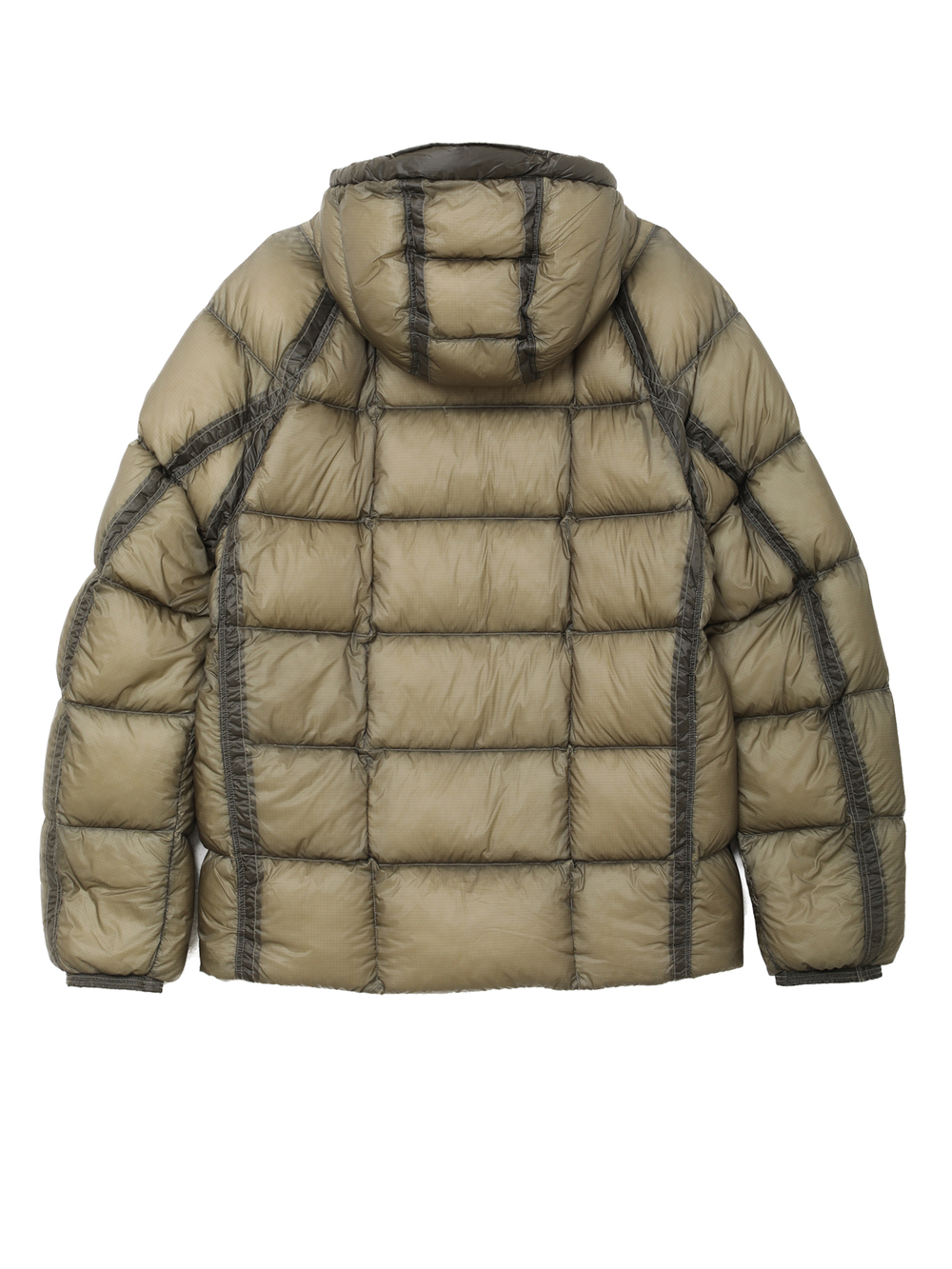 Мужской Пуховик In Dd-shell