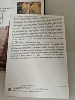 Ваш приусадебный участок. Лекарственные растения