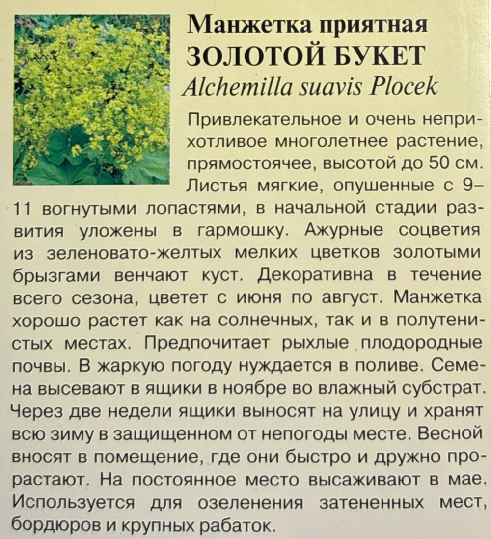 Манжетка Золотой букет 0,01 г СМЦ-251