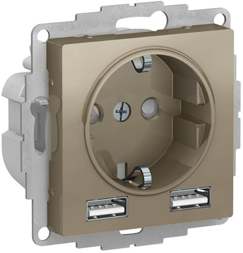 Розетка с заземлением с 2 USB  Systeme Electric ATN000530