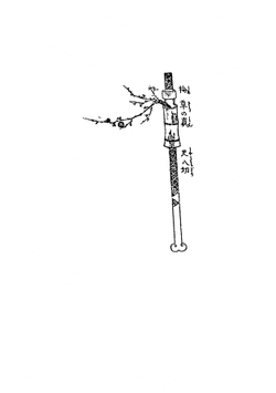 The Book of Tea: a Japanese Harmony of Art Culture and the Simple Life | Okakura Kakuzo