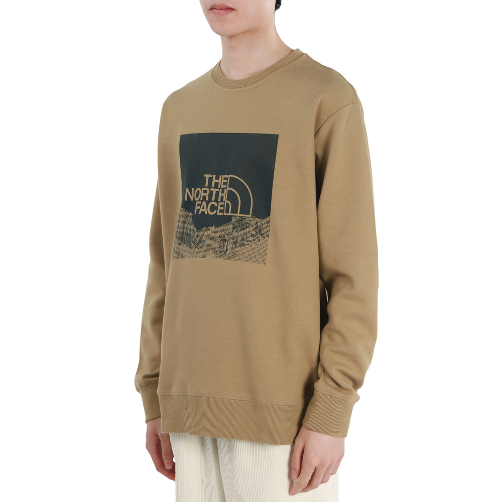 Толстовки THE NORTH FACE Logo, NF0A7QV1-PLX