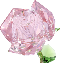 FLORERE:ROSE