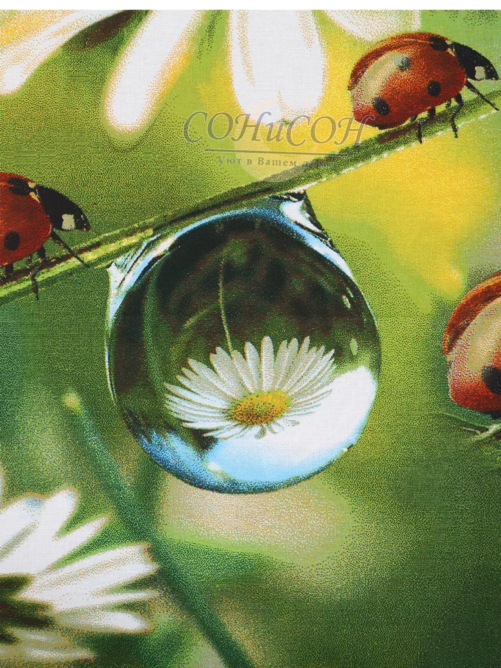 Простыня евро 240х220 см, 100% хлопок