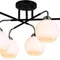 Люстра потолочная ILLUMICO E27 IL0252-6CSQ-79 BK AB
