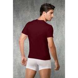 Мужская футболка бордовая Doreanse 2550 Vinous