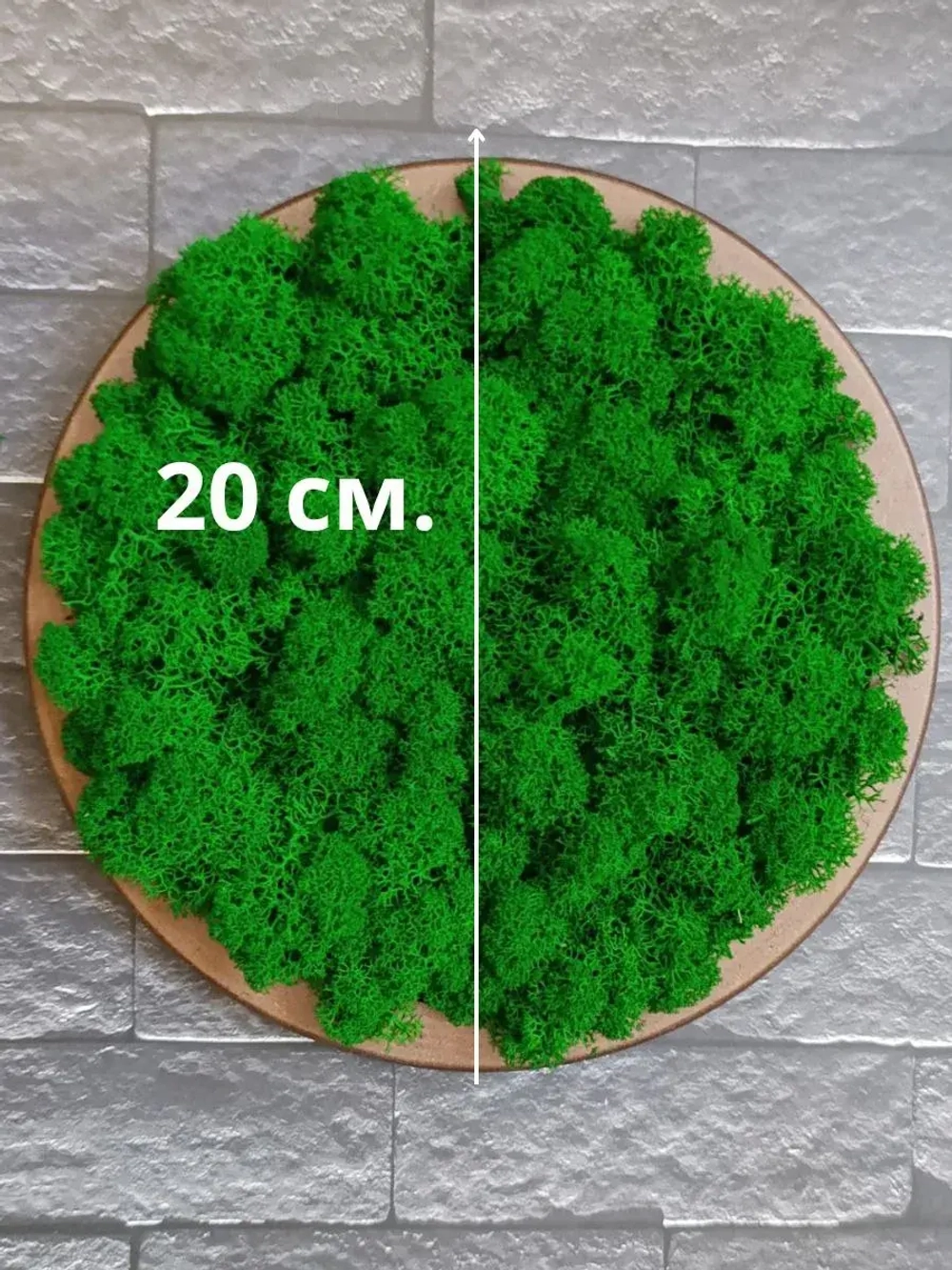 Круглое панно на стену из мха набор ОРЕХ 20 см. 3 шт.