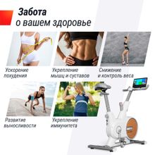 Велотренажер UNIX Fit MV-500T (15,6 TFT&#39;) Wood