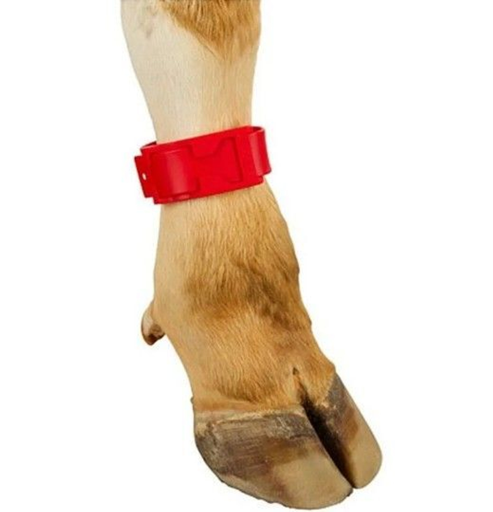 Ножные ленты Банды КРС, красные