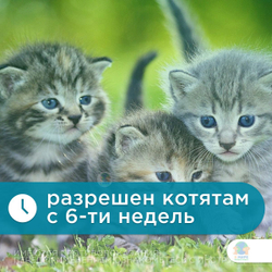 Таблетки от гельминтов, профилактика дирофиляриоза для кошек более 4кг Гельминтал (Neoterica), 2 таб. Моксидектин/Празиквантел