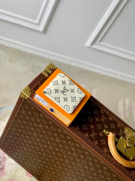 Louis Vuitton Multiple Wallet