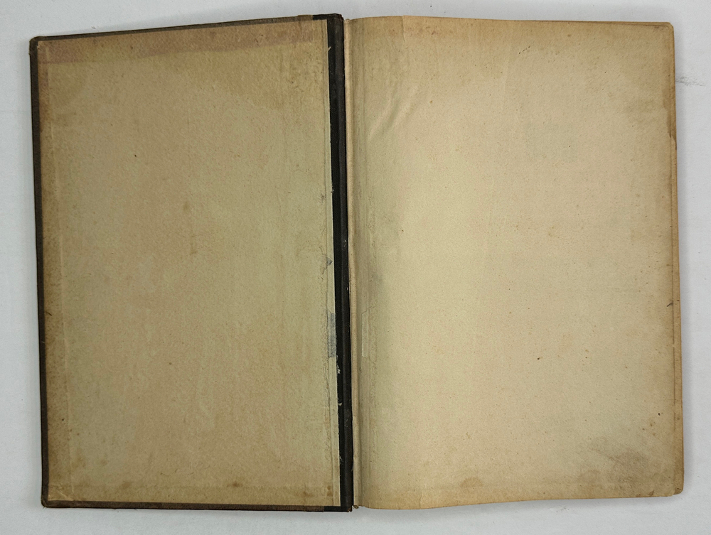 Новейший полный словотолкователь и объяснитель 150000 иностранных слов. М., Г.Бриллиантов, 1894 г.