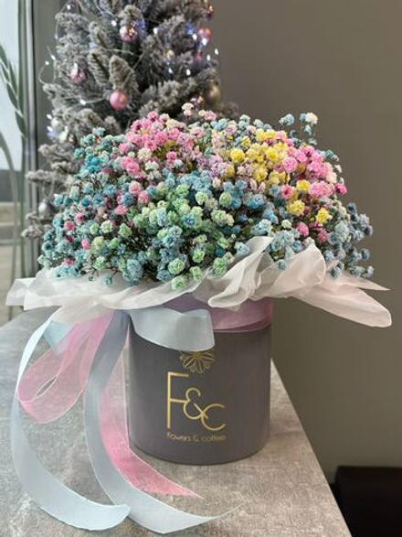 Гипсофила радужная в коробке