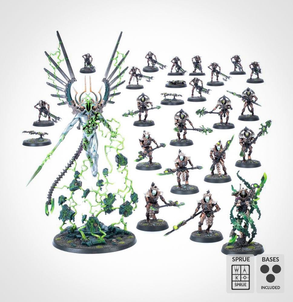 [Wako-box Battleforce] Hypercrypt Legion (Necrons)