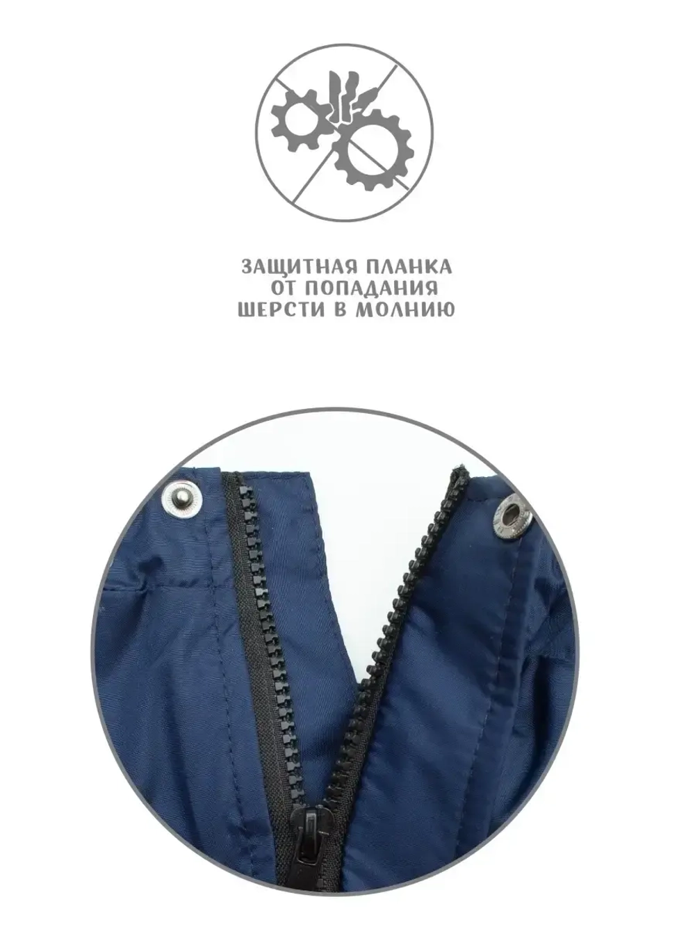 Комбинезон дождевик для собак французский бульдог