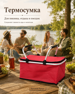Сумка термо 47*26*23см