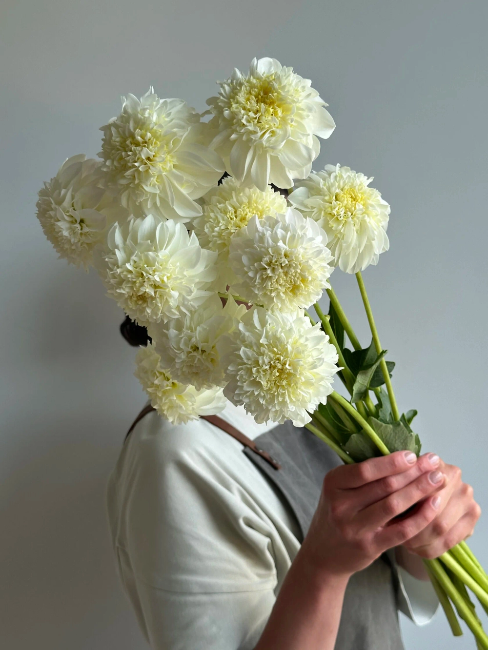 Георгин Zahra (корень) Закупка М55 апрель 2026