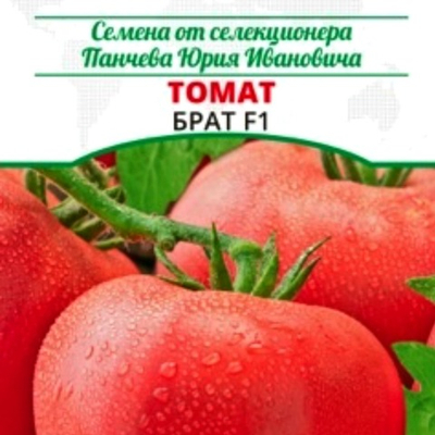 Томат Брат F1