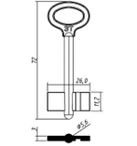 Заготовка сувальдного ключа 10673 ЗТ-1  ZT1D