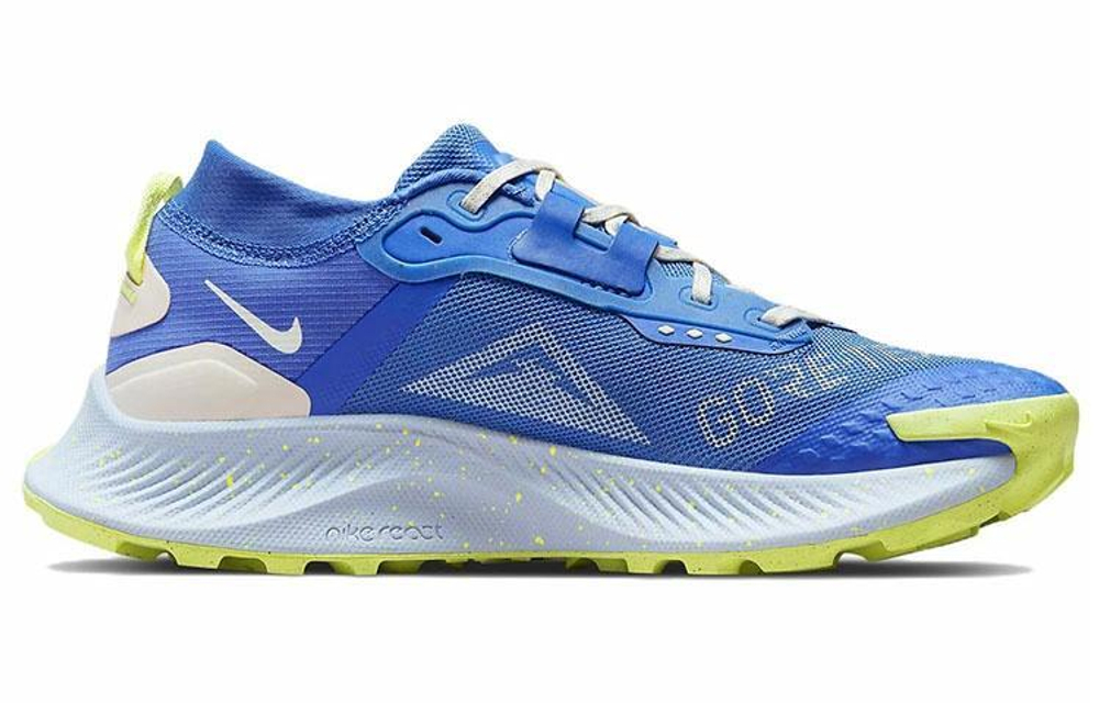 Кроссовки Nike Pegasus Trail 3 Gore-Tex (Женская размерная сетка)
