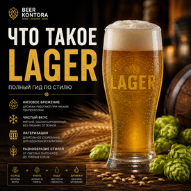 Что такое Lager (лагер)