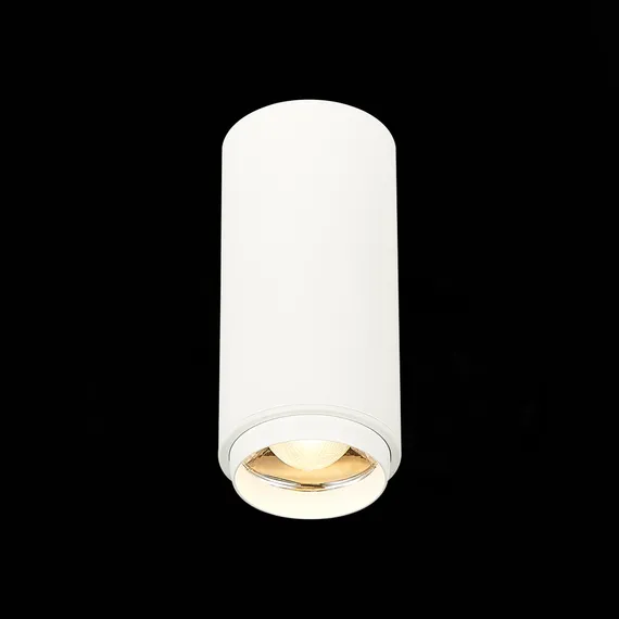 ST600.532.10 Светильник потолочный Zoom Белый LED 1*10W 3000K 1 000Lm Ra>80 15-60° IP20 D59xH130 170 Накладные светильники