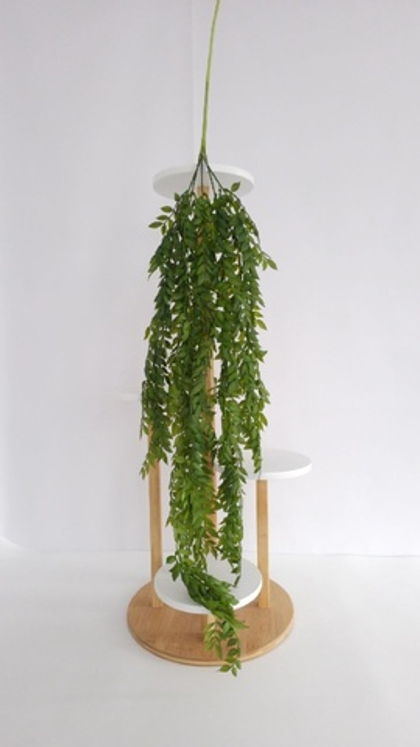 Рускус / Арт 4072