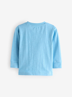 Лонгслив для мальчика Next 631-696, Голубой