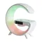 Аккумуляторный светильник FR6163RL-L3W Объятие / Hug 3 Вт LED Freya fr6163rl-l3w