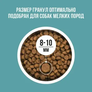 Сухой корм BOWL WOW для собак мелких пород с индейкой, рисом и розмарином