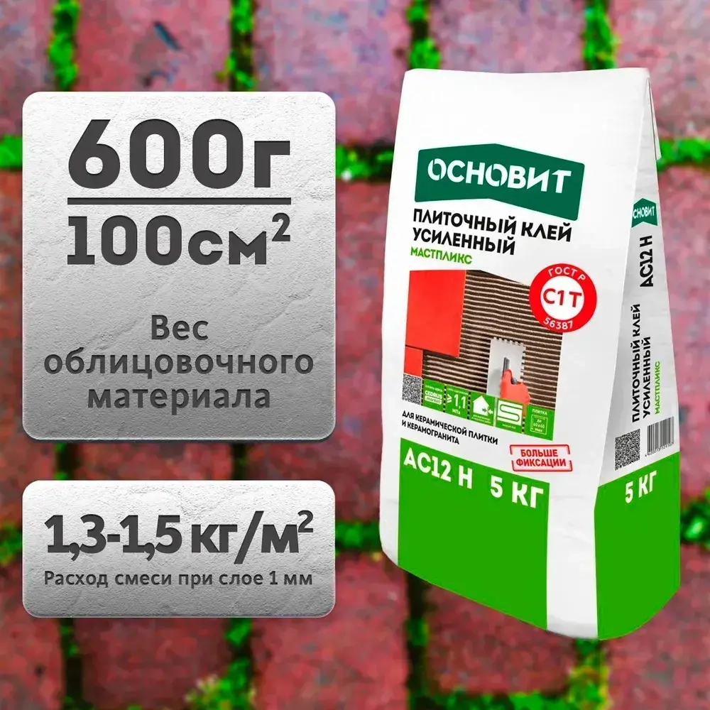 Клей для плитки Мастпликс AC12 Н (5кг)