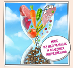 Корм для котят сухой ZILLII Kitten 2кг, с индейкой и ягнёнком