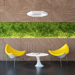 Светильник LED ЭРА Geometria SPO-123-W-40K-045 Hexagon 45Вт 4000K 2900Лм IP40 600*80 белый подвесной драйвер внутри | Декоративные светильники Geometria