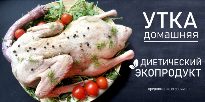Утка домашняя