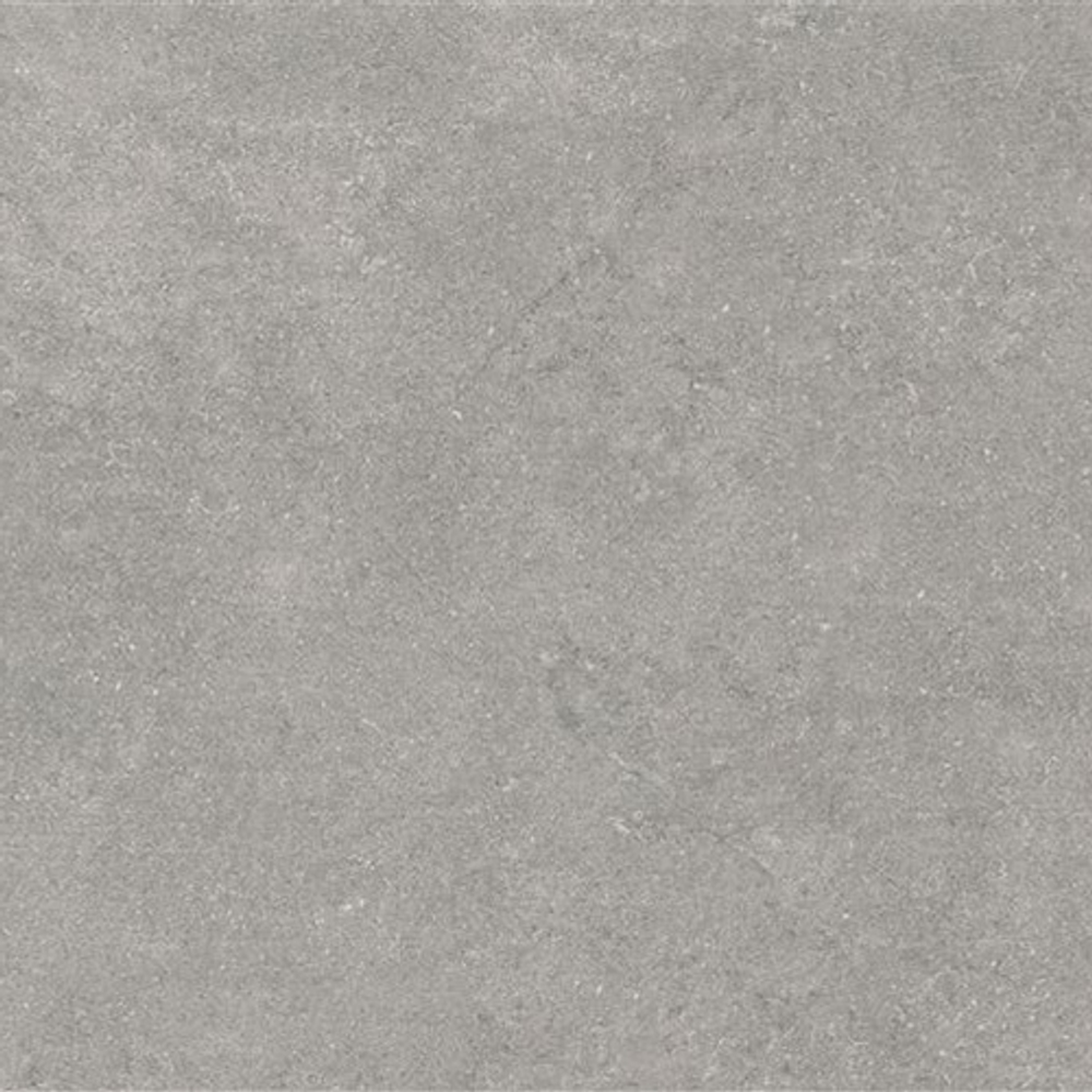 60x60 Newcon Серебристо-серый Матовый R10A