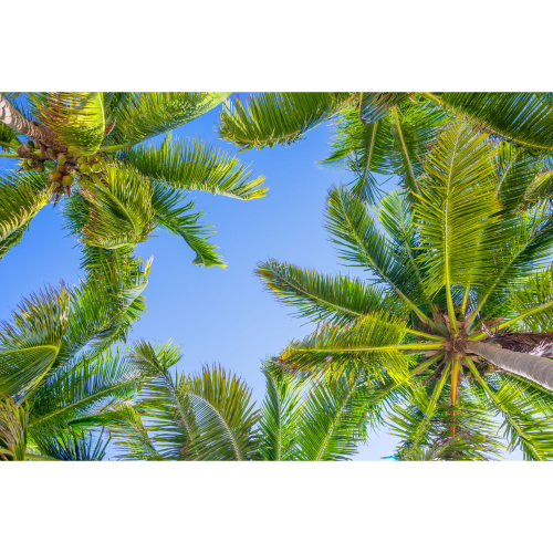 Панель потолочная ПВХ Novita 3D Южный полдень