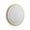 7630/DL PALE SN 151 Светильник пластик/золотистый LED 48Вт 3000-6300K D410 IP43 пульт ДУ SETTA