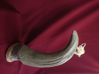 Рог первобытного бизона, скульптура из кости